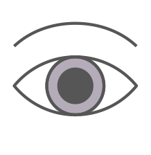 icona-visual
